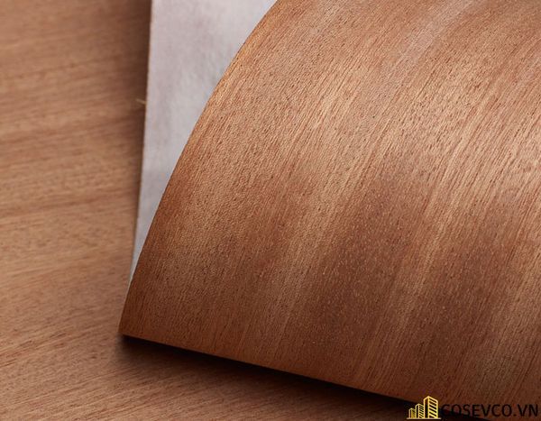 go veneer 12 3