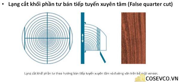 go veneer 2 3