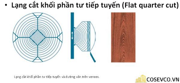 go veneer 3 2