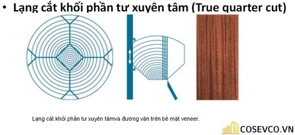 go veneer 4 2