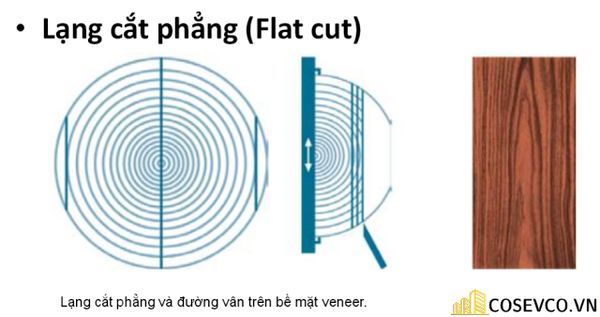 go veneer 5 3