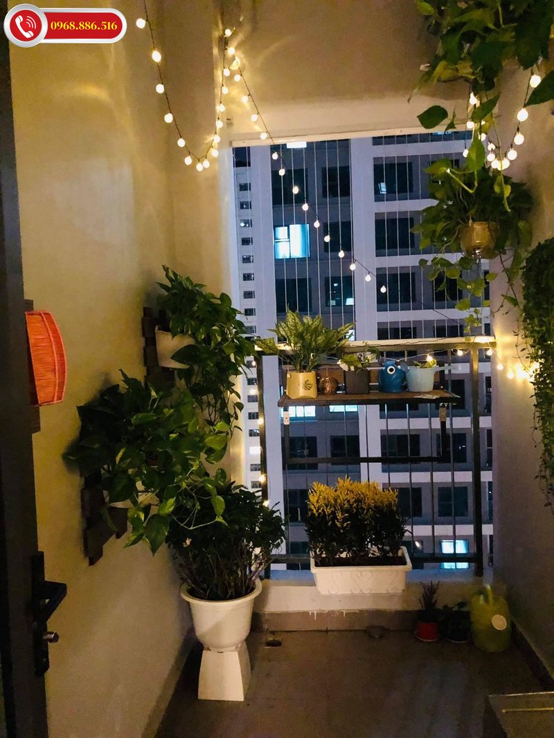 Cây xanh kết hợp với đèn dây trang trí