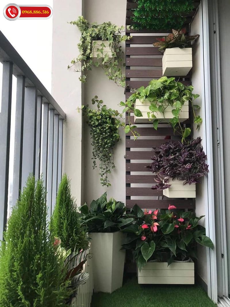Nên lựa chọn những loại cây dễ chăm sóc